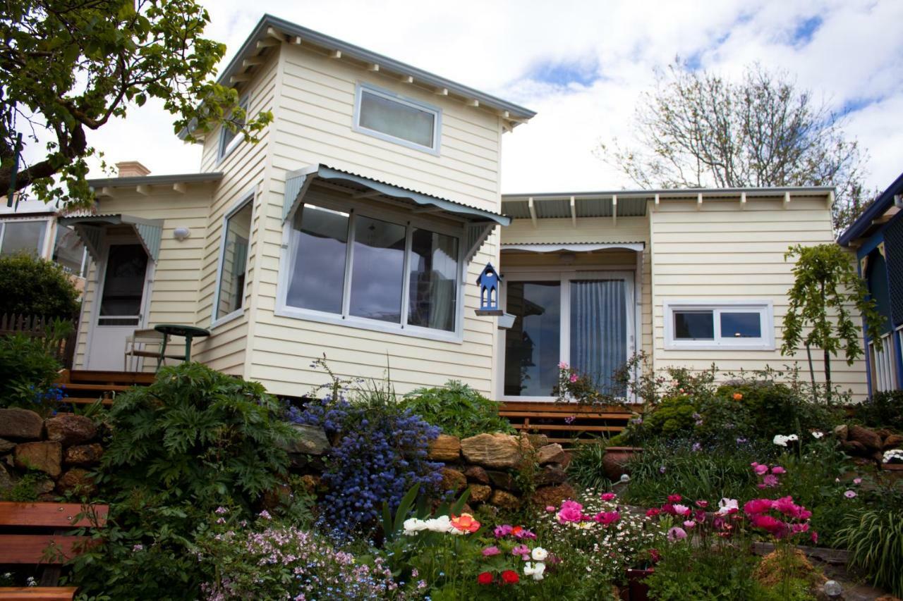 Lotti'S House Villa Albany Exteriör bild
